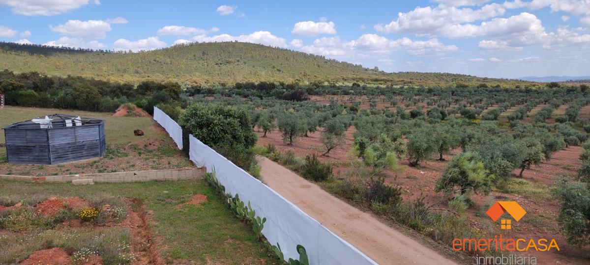 For sale of rural property in Mirandilla