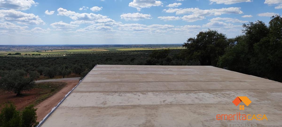 For sale of rural property in Mirandilla