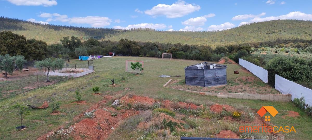 For sale of rural property in Mirandilla