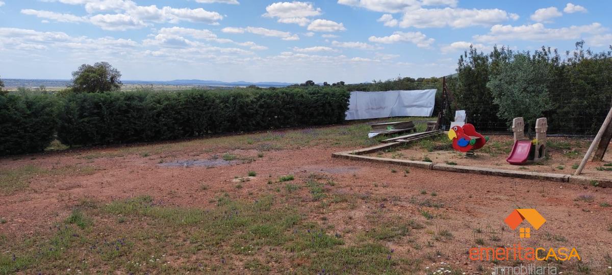 For sale of rural property in Mirandilla