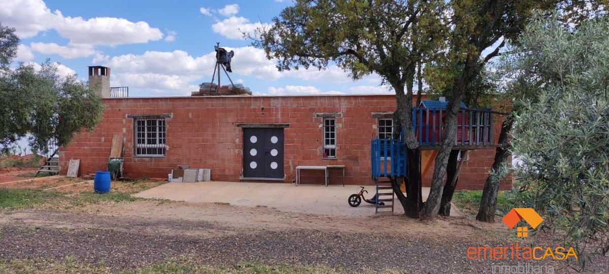 For sale of rural property in Mirandilla