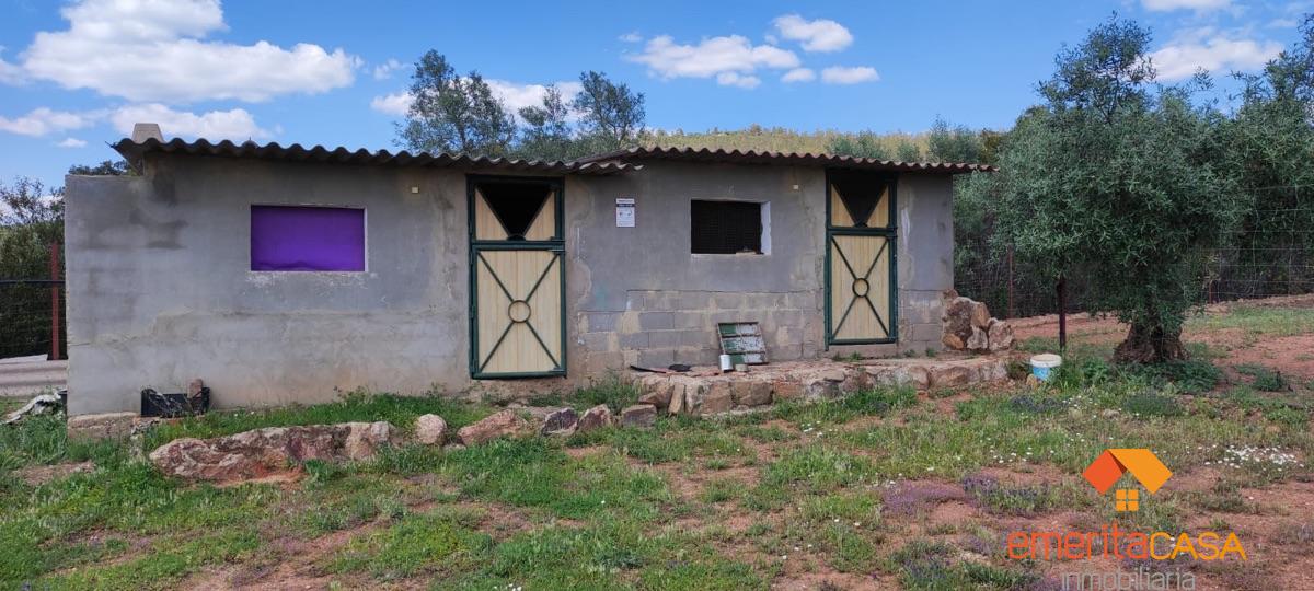 For sale of rural property in Mirandilla