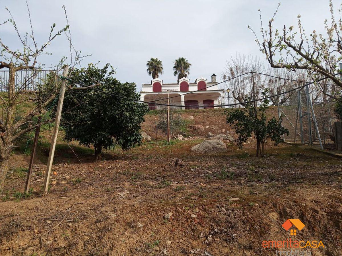 For sale of  in Don Álvaro