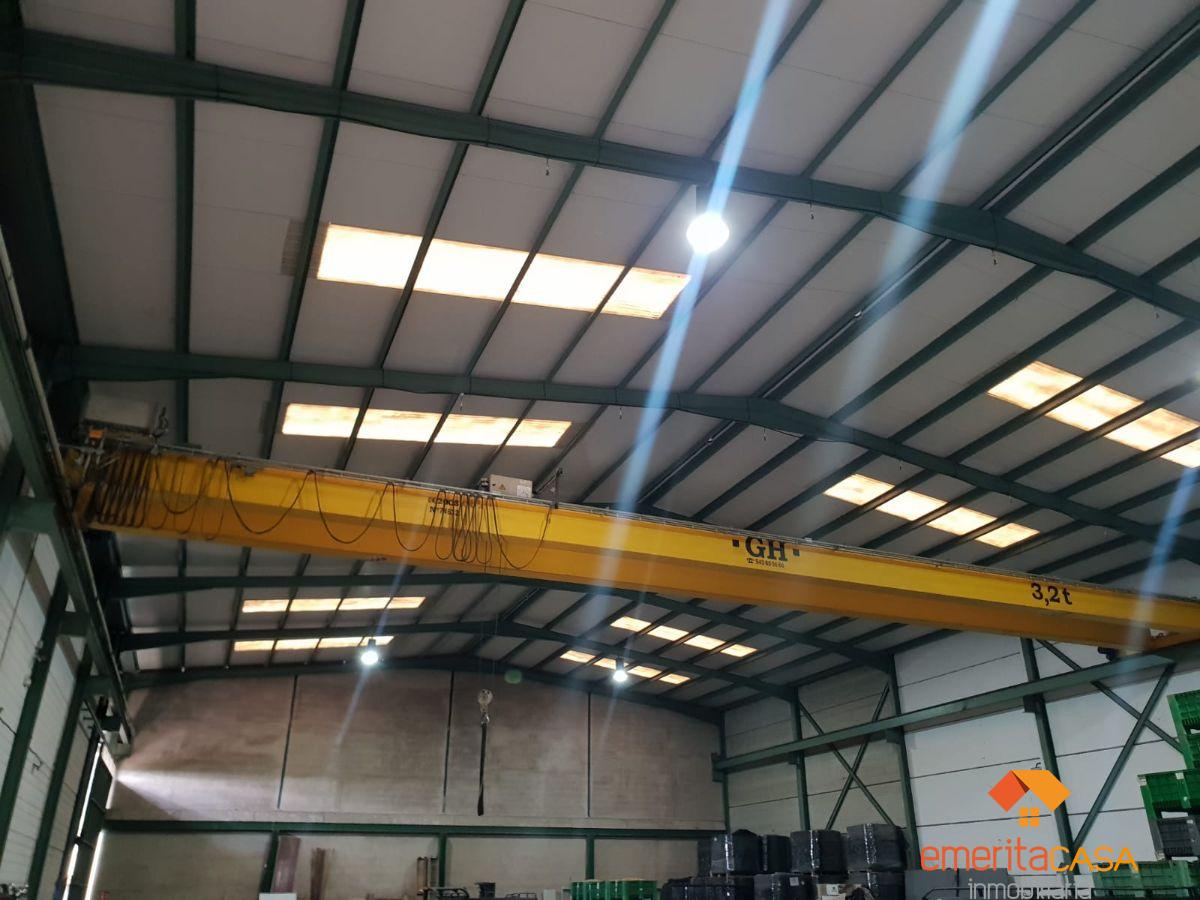 For rent of industrial plant/warehouse in Arroyo de San Serván