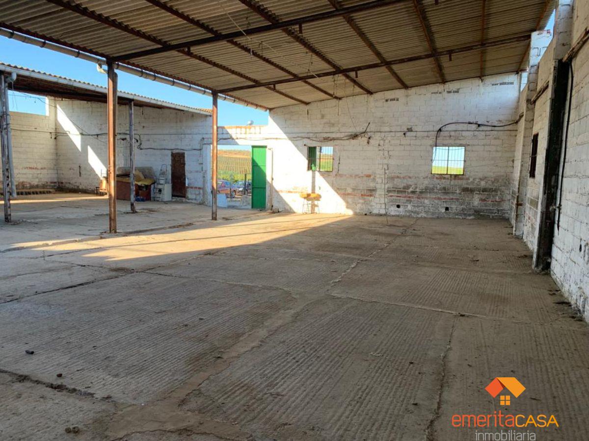 For rent of industrial plant/warehouse in Mérida