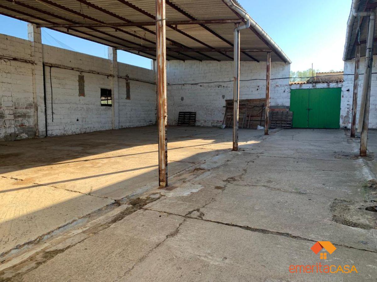 For rent of industrial plant/warehouse in Mérida