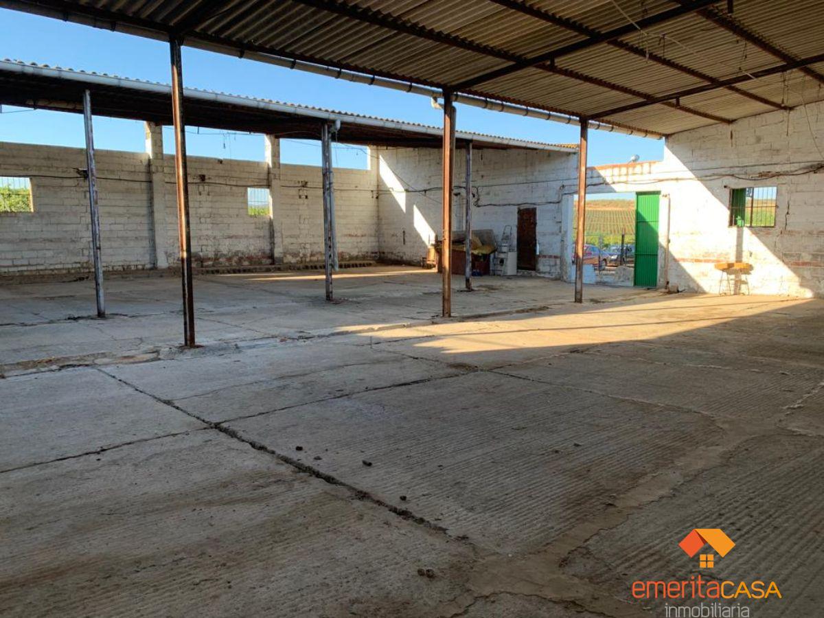 For rent of industrial plant/warehouse in Mérida