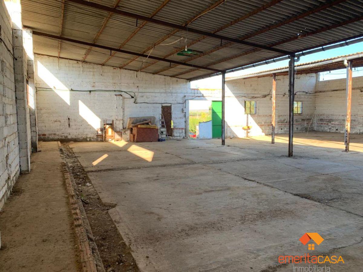 For rent of industrial plant/warehouse in Mérida