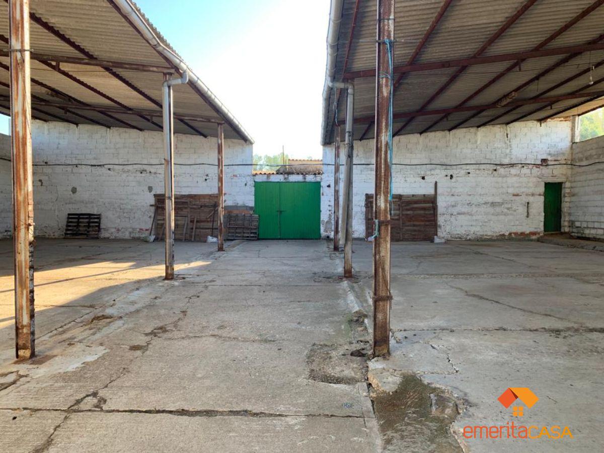 For rent of industrial plant/warehouse in Mérida