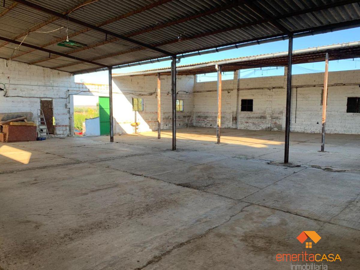 For rent of industrial plant/warehouse in Mérida