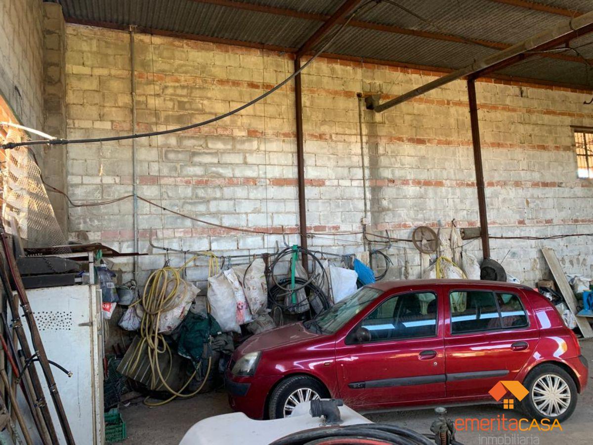 For rent of industrial plant/warehouse in Mérida