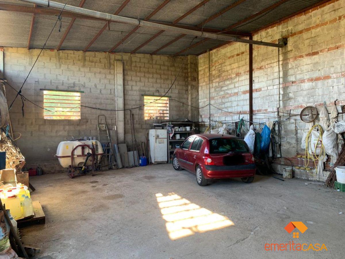 For rent of industrial plant/warehouse in Mérida