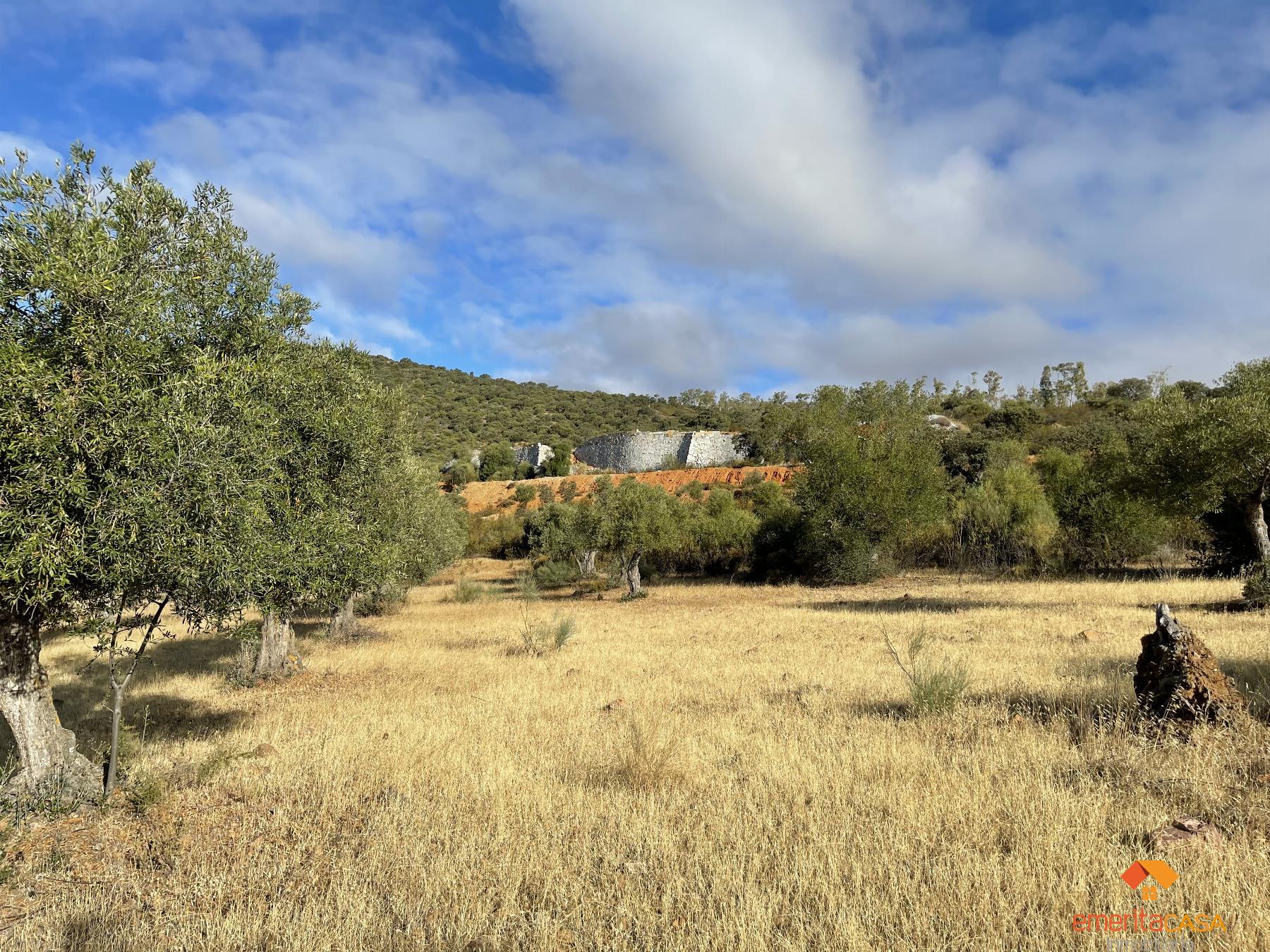 Venta de terreno en Quintana de la Serena