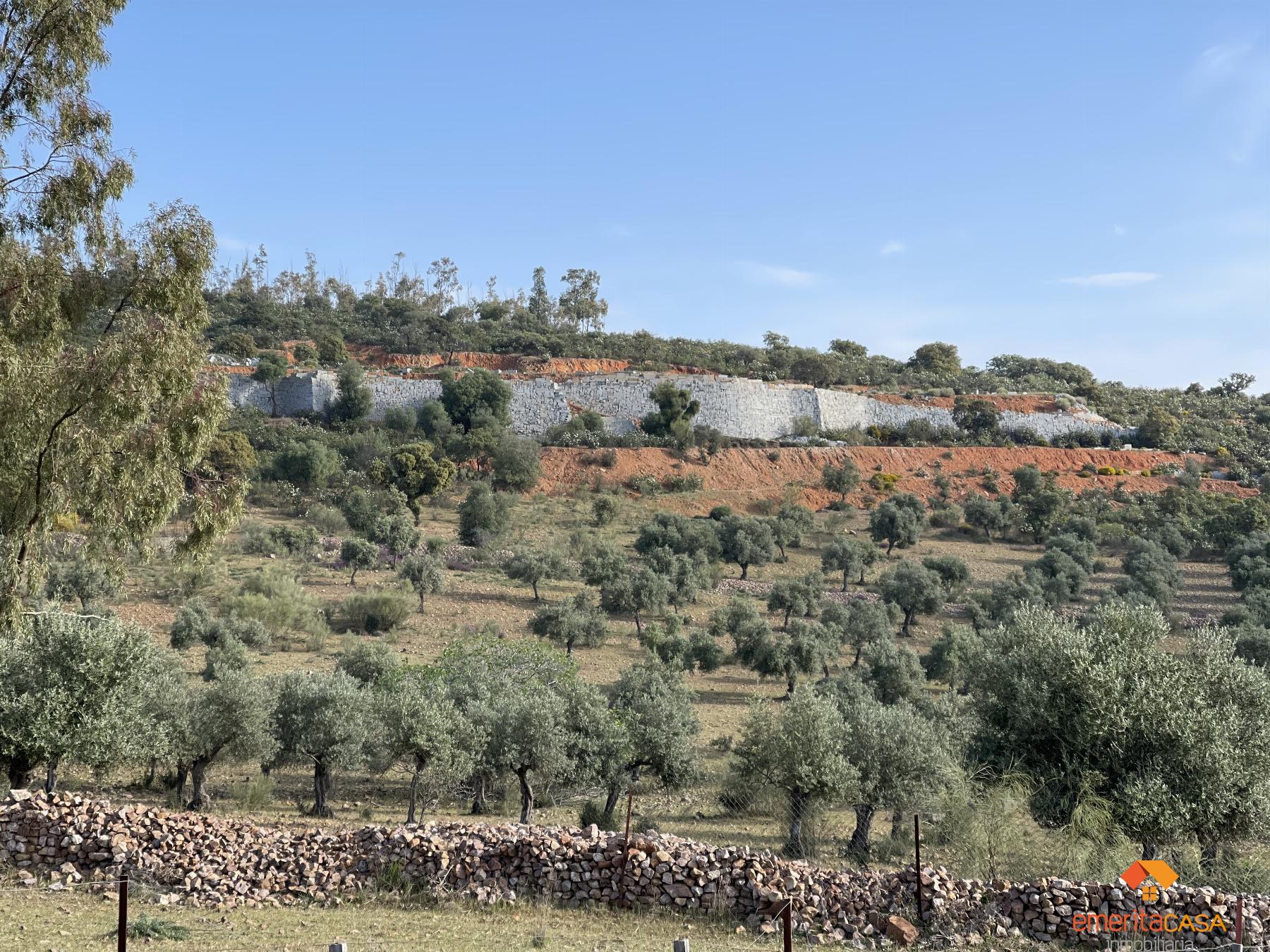 Venta de terreno en Quintana de la Serena