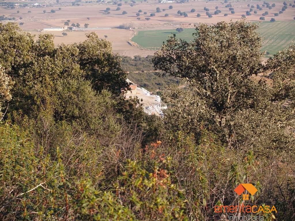 Venta de terreno en Quintana de la Serena