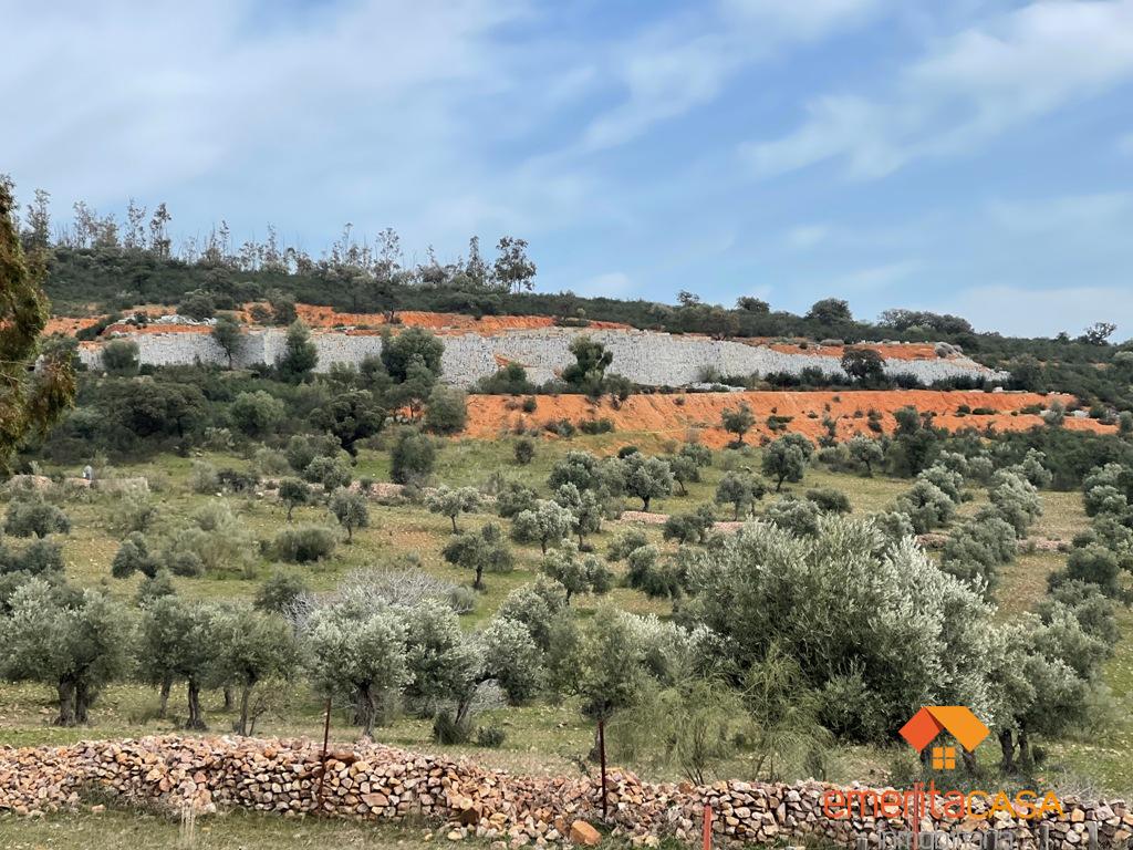 Venta de terreno en Quintana de la Serena