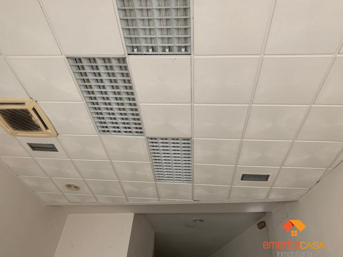 For rent of premises in Mérida