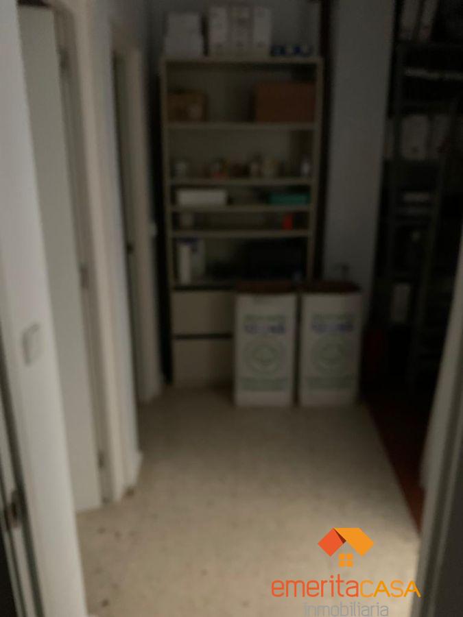 For rent of premises in Mérida