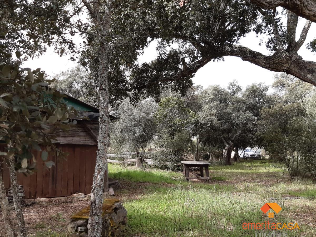 For sale of rural property in Mirandilla