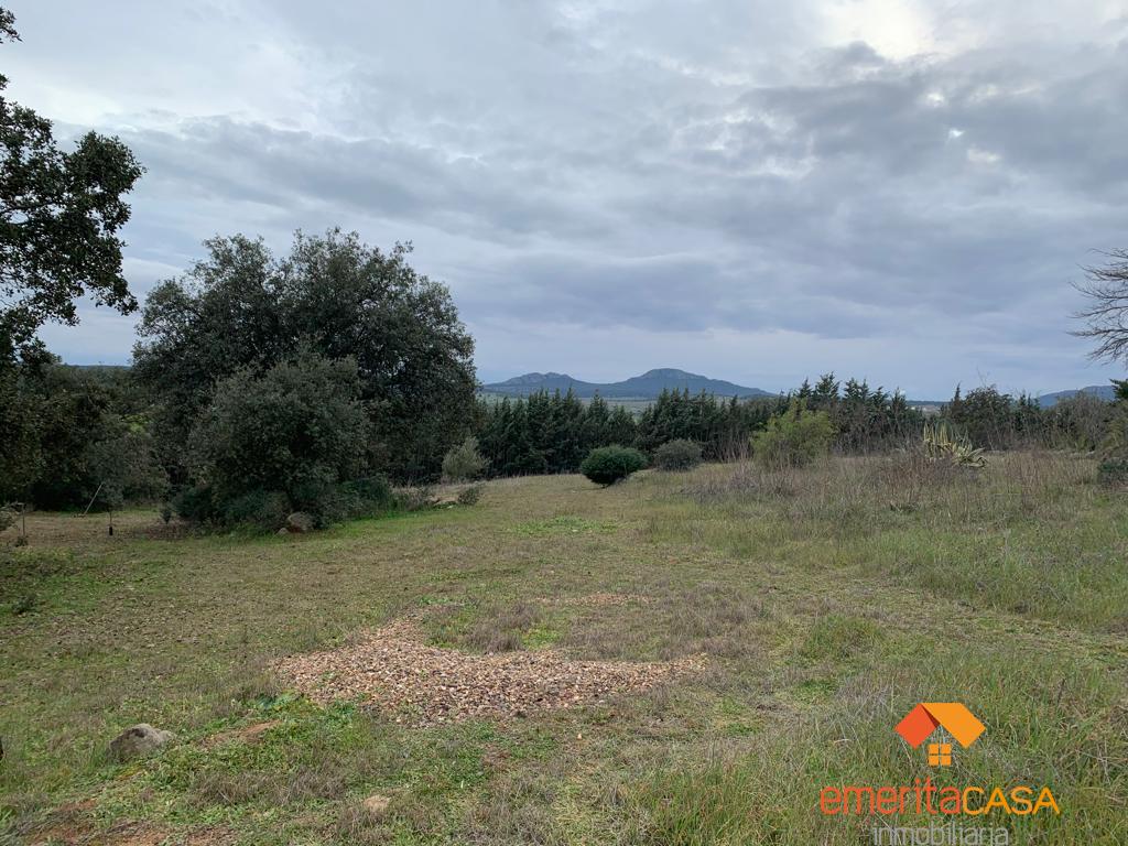 Venta de finca rústica en Don Álvaro