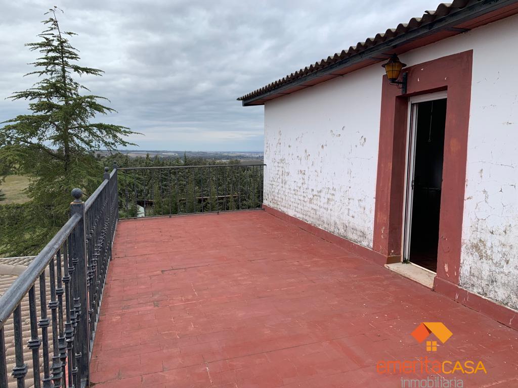 For sale of rural property in Don Álvaro