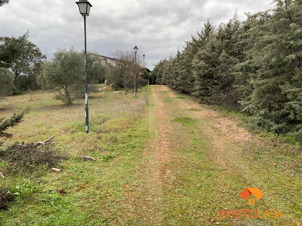 For sale of rural property in Don Álvaro