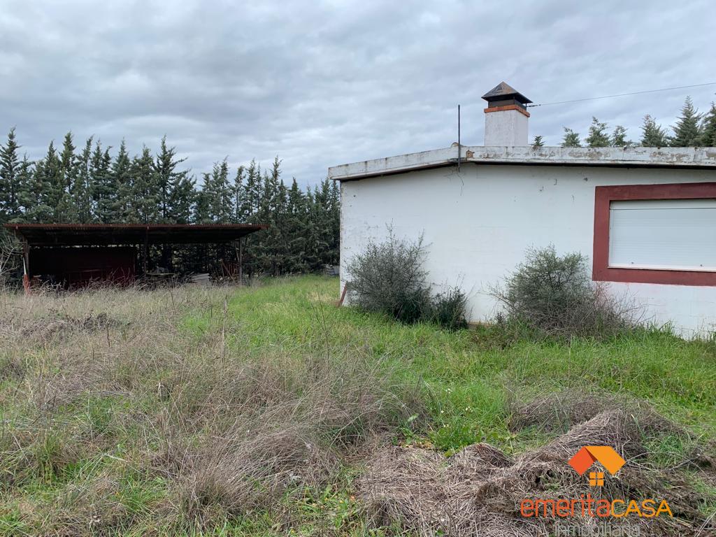 For sale of rural property in Don Álvaro