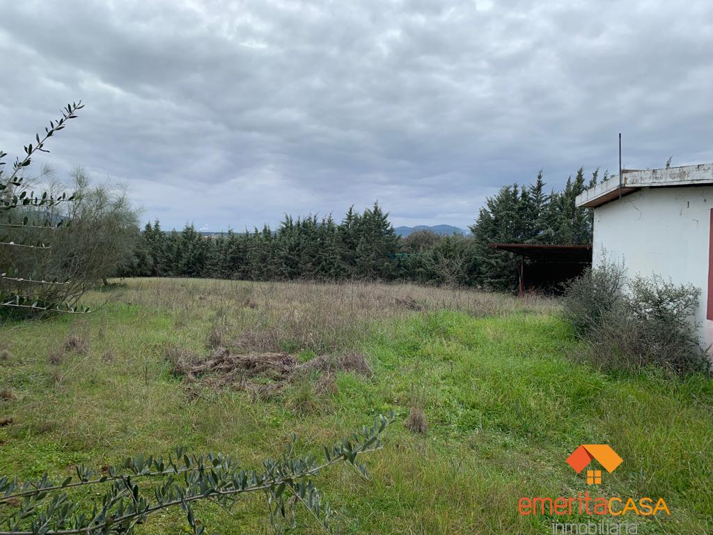 For sale of rural property in Don Álvaro