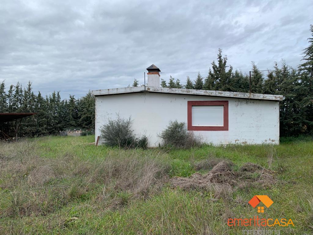 For sale of rural property in Don Álvaro