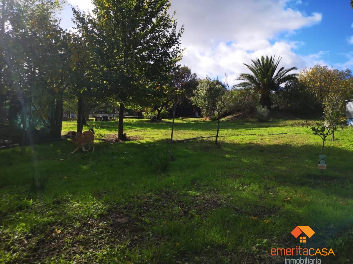 Venta de piso en Mérida