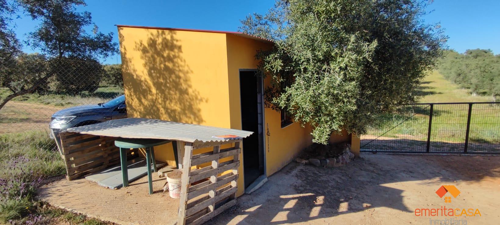 For sale of rural property in Mérida
