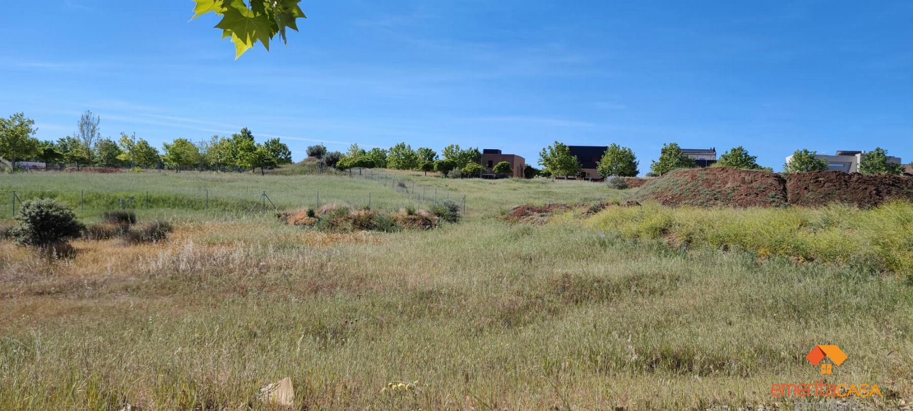 For sale of land in Mérida