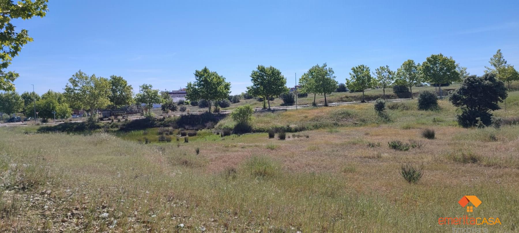 For sale of land in Mérida