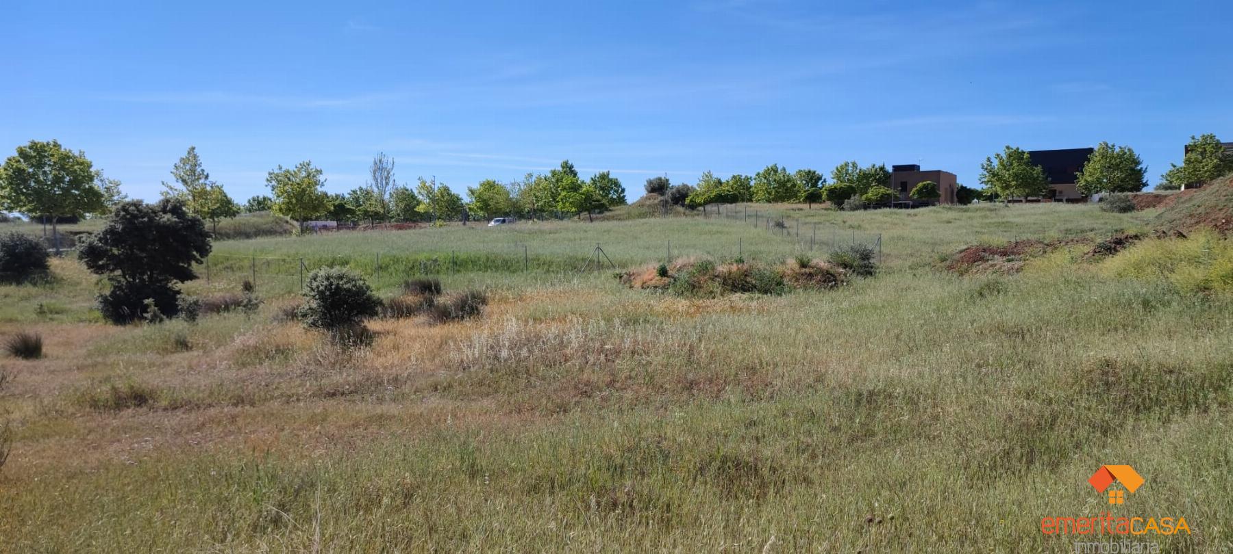 For sale of land in Mérida