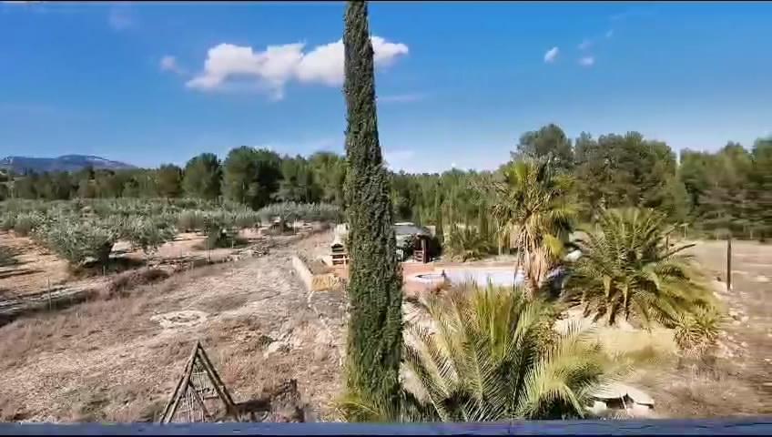 For sale of  in Lorca