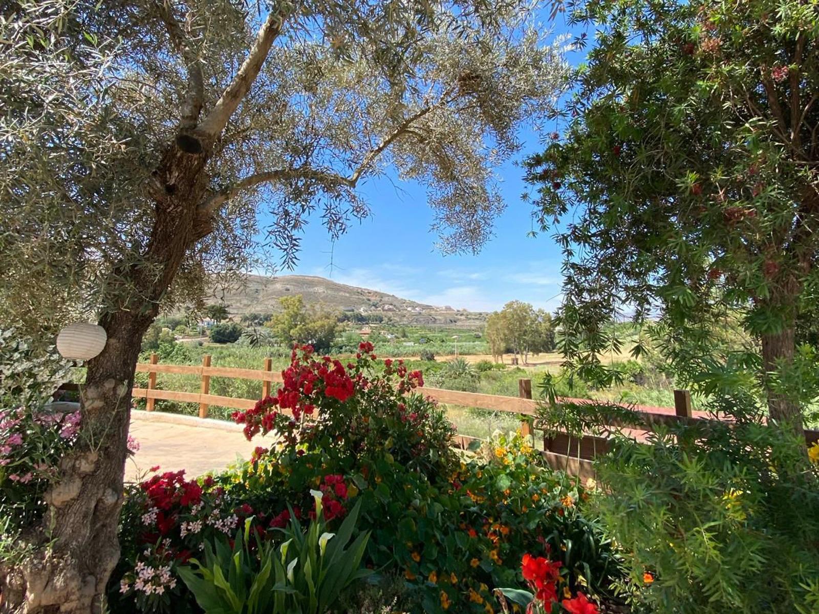 For sale of house in Alameda