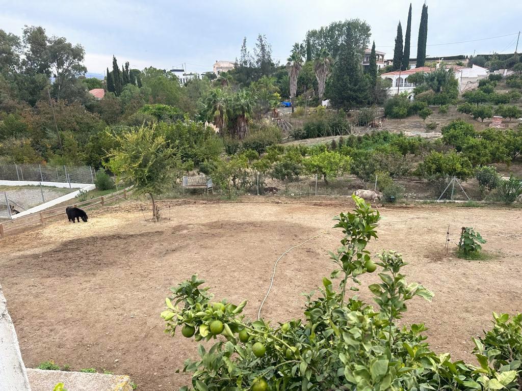 For sale of house in Alameda