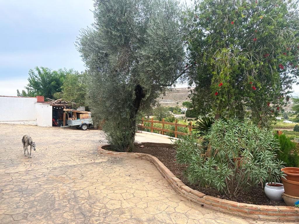 For sale of house in Alameda