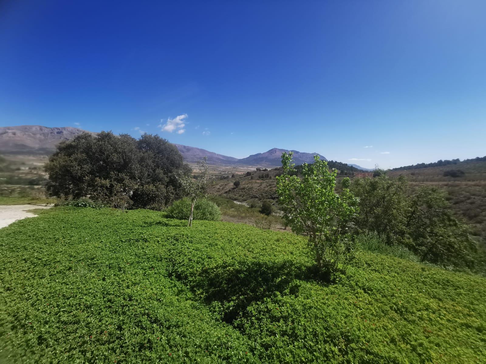 For sale of  in Chirivel