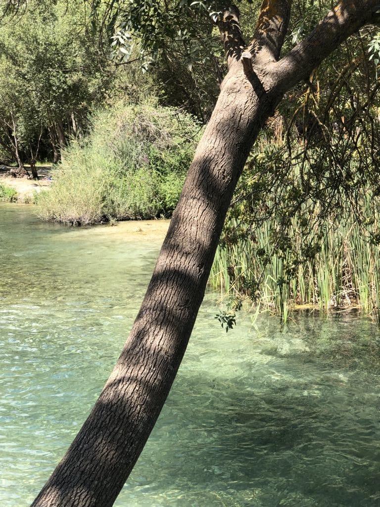 Zu verkaufen von haus in
 Pozo Alcón