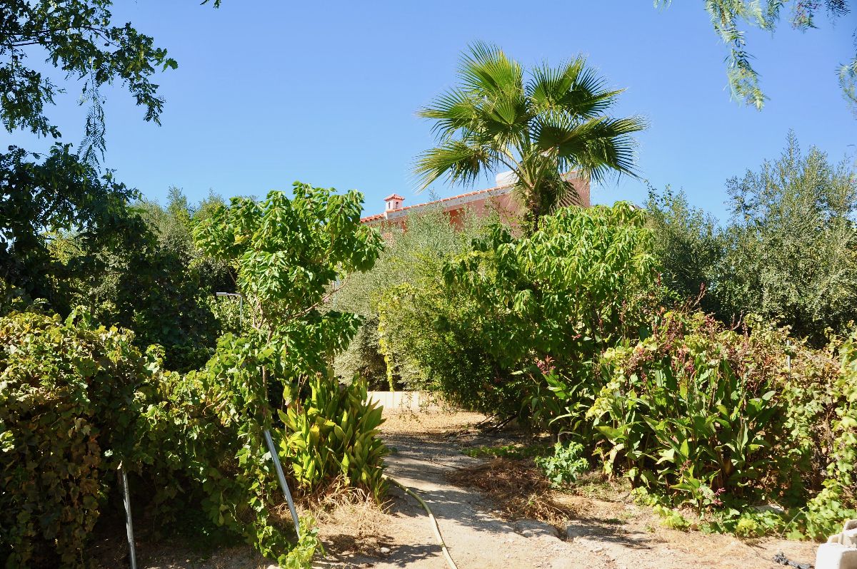 Venta de villa en Huércal-Overa