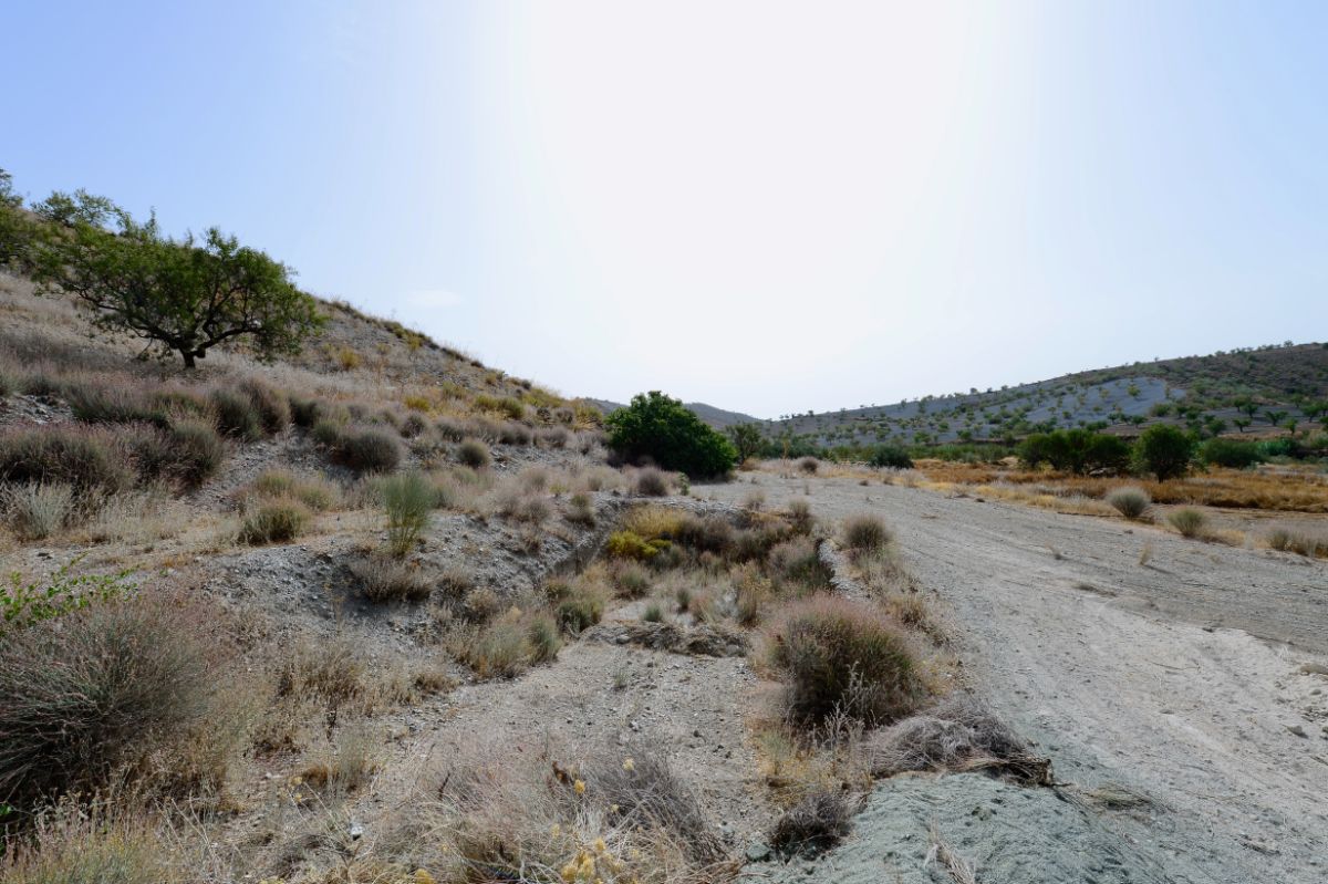 Köp av parhus i Lorca