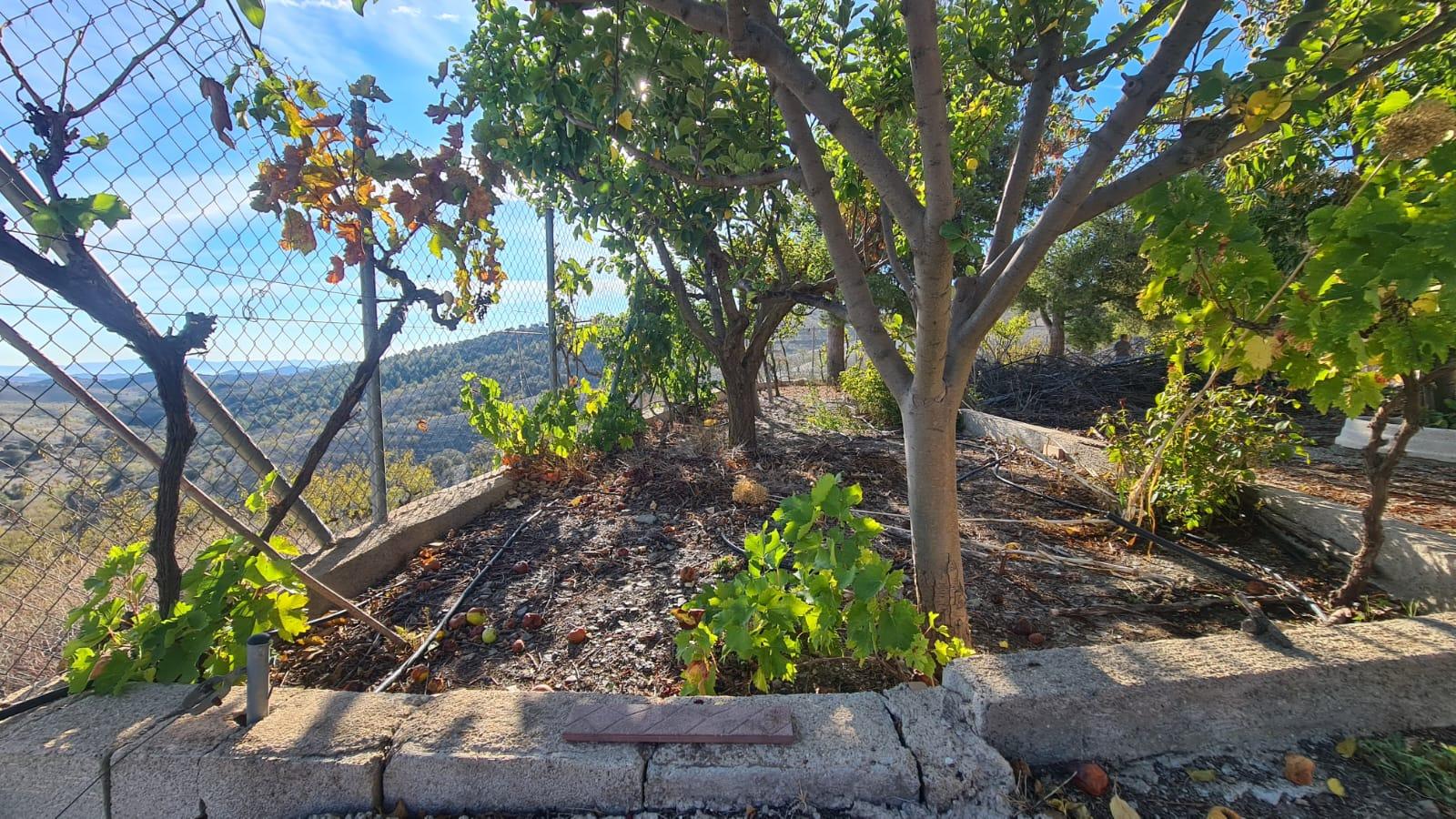 For sale of bungalow in Vélez-Rubio