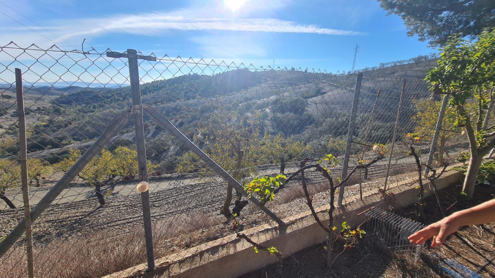 For sale of bungalow in Vélez-Rubio