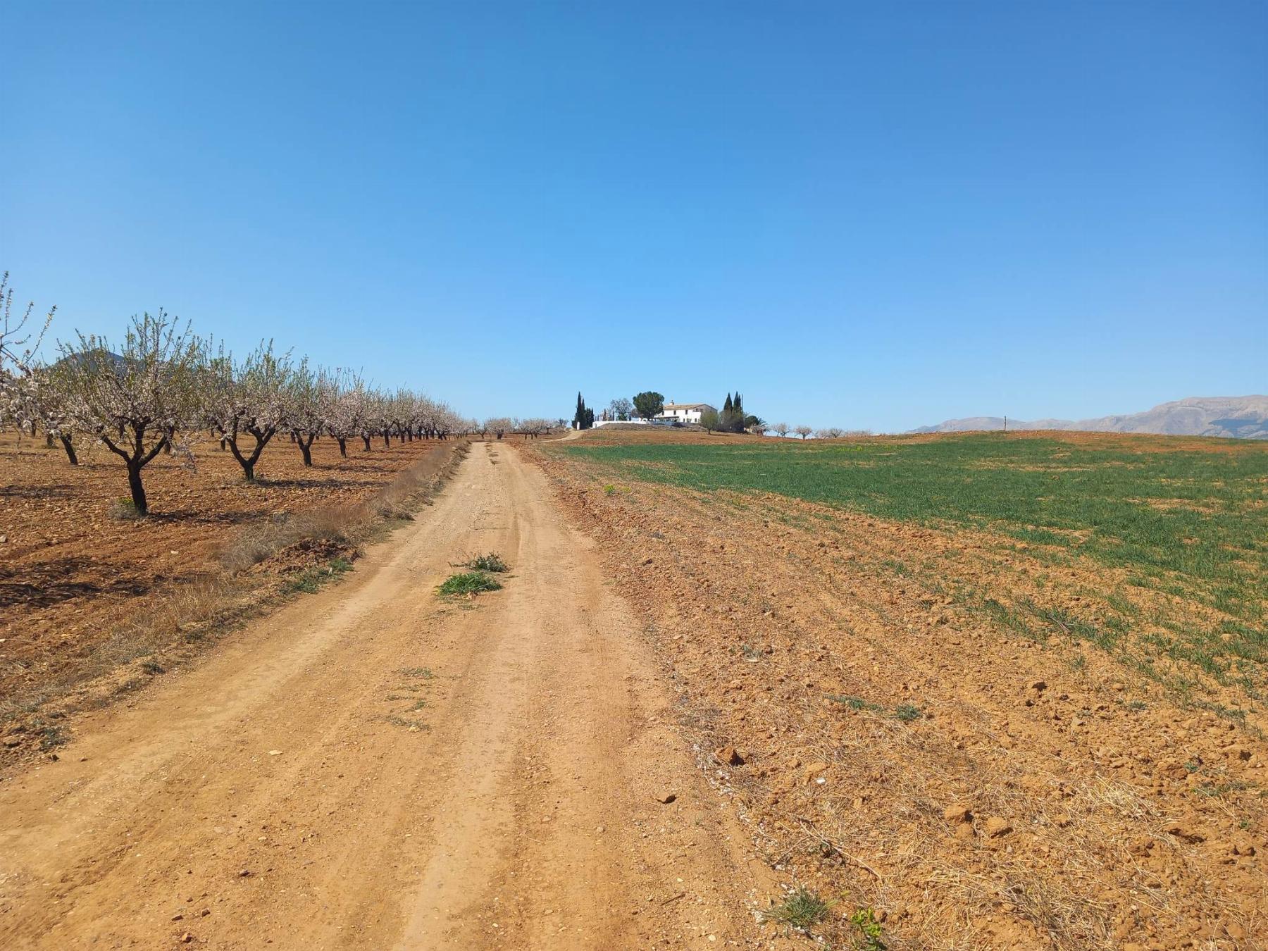 For sale of masia in Vélez-Rubio