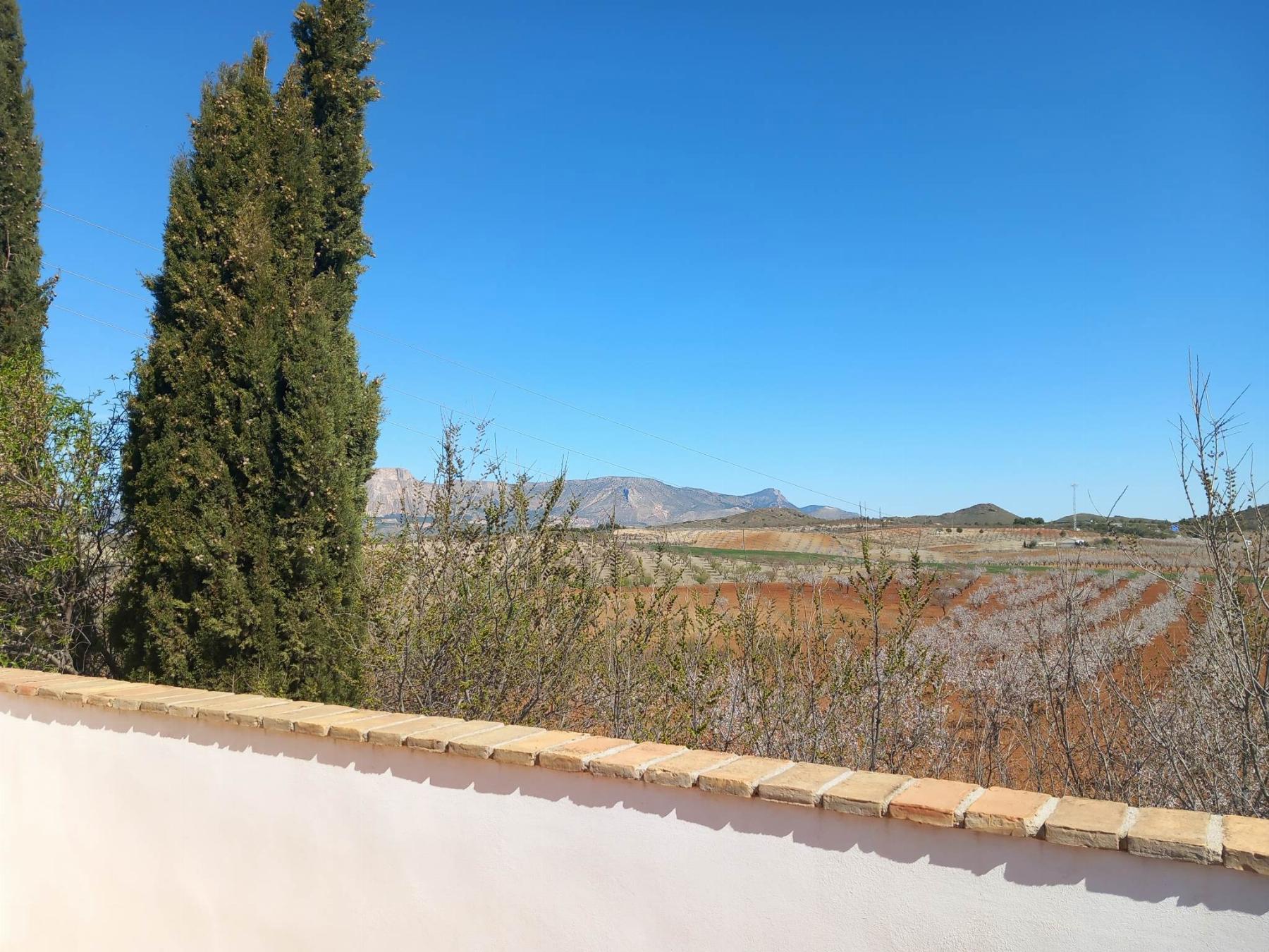 For sale of masia in Vélez-Rubio