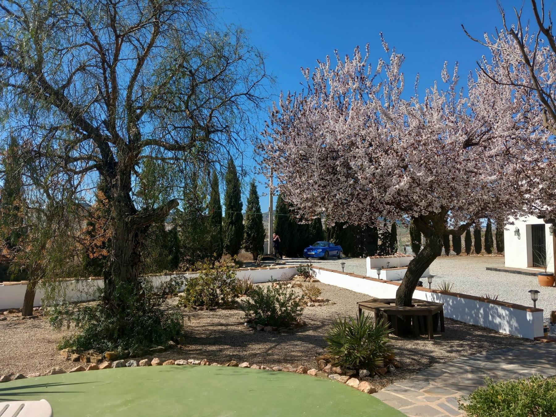 For sale of masia in Vélez-Rubio