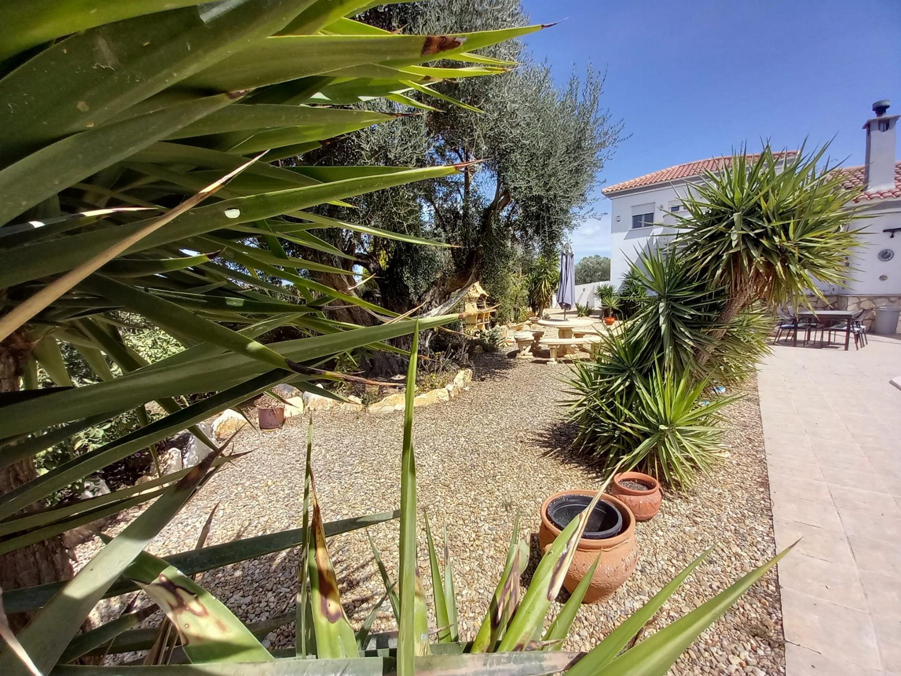 For sale of house in Albox
