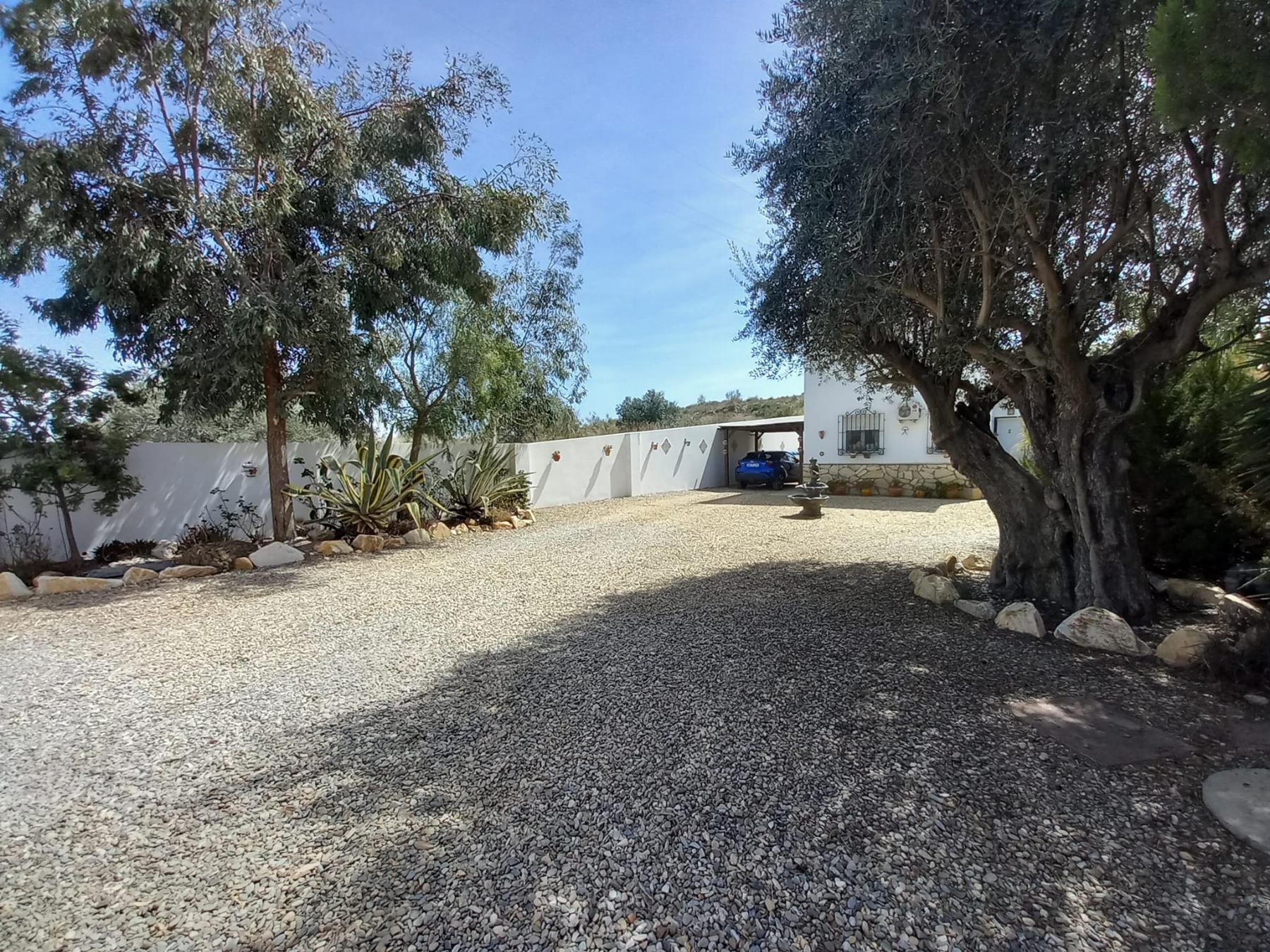 For sale of house in Albox