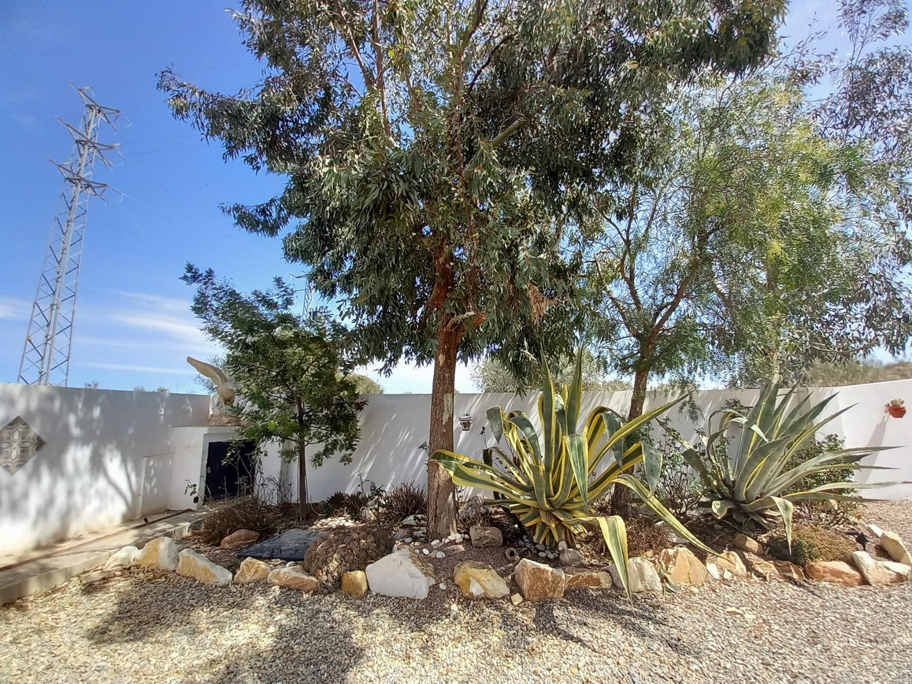 For sale of house in Albox